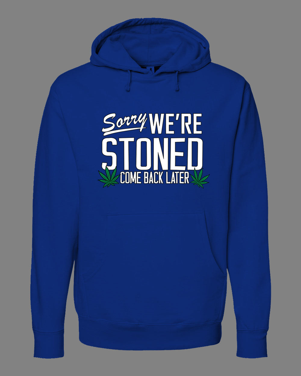 Sorry, We're Stoned Hoodie